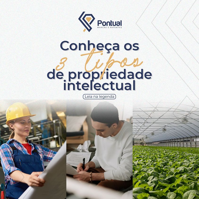 Conheça os 3 tipos de propriedade intelectual.