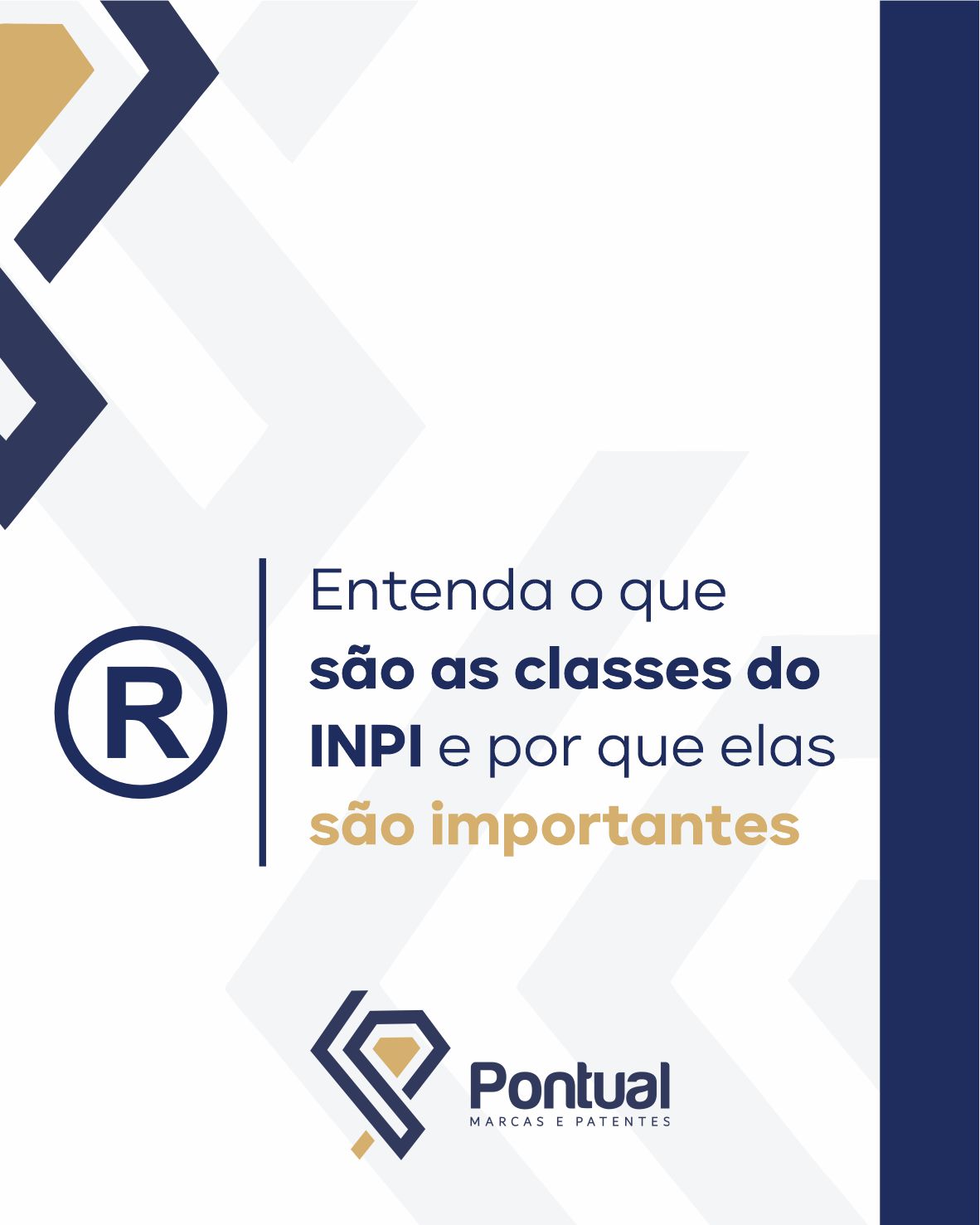 Entenda o que são as classes do INPI e por que elas são importantes